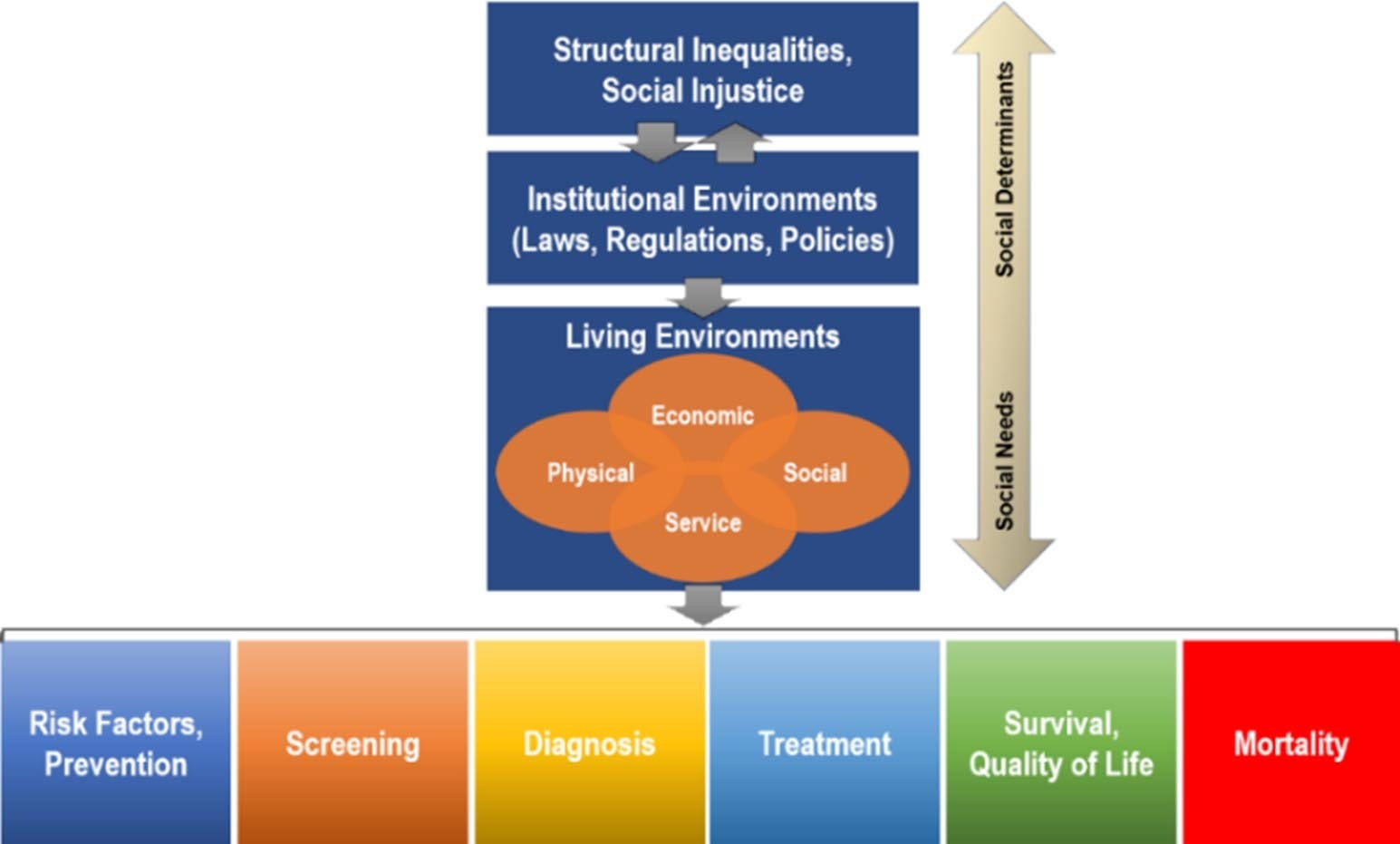Structural Inequality and Social Justice are social determinants that affect institutional environments